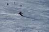 dsc00586_small.jpg