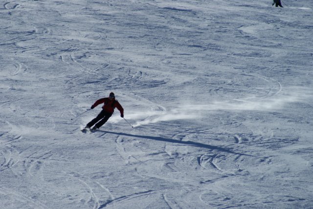 dsc00590.jpg