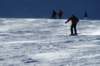 dsc00628_small.jpg