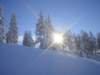 dsc02320_small.jpg