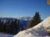 dsc02337_small.jpg