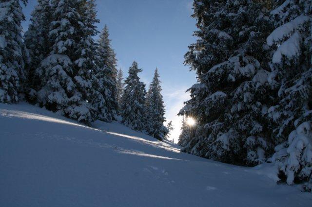 img_0660.jpg