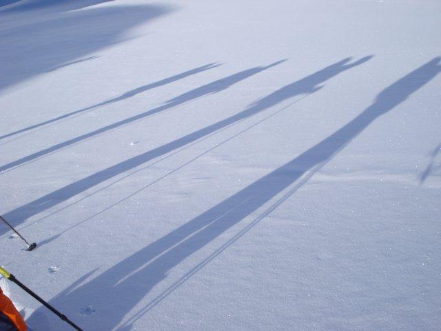 dsc00551.jpg