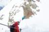 dsc01515_small.jpg